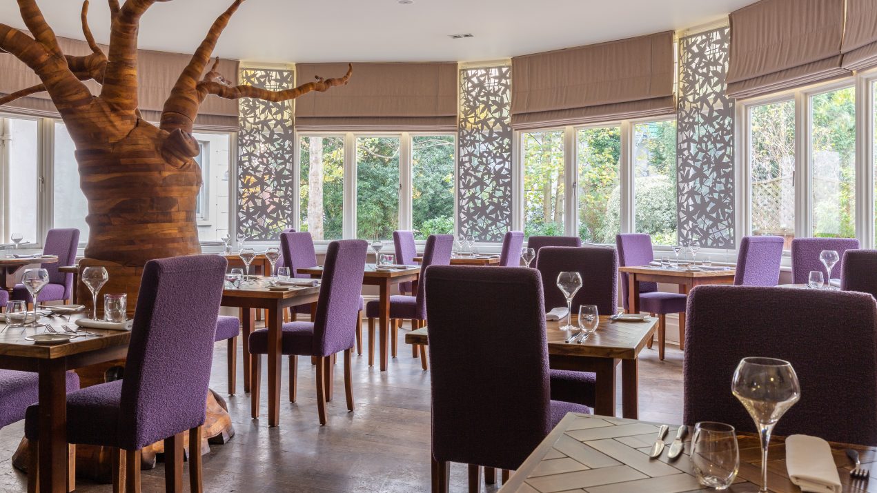 Image of the interior of the Arbor Restaurant dining area with purple chairs and a decorative tree in the centre